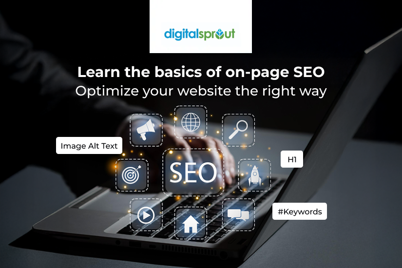 Build visibility, authority, and leads with Digital Sprout.
